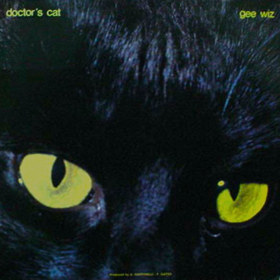 Now playing: Doctor's Cat - Doctor's Cat Melody
